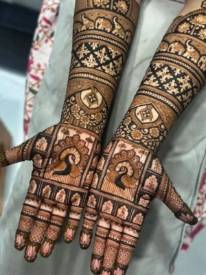Professional Mehandi Artist